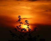 要是不来东北见识冰雪奇缘，仿佛错过了一整个冬天！