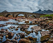 恋恋厦漳｜念念不忘，必有回响