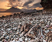 🌸哈尔滨绝美赏荷地，人少出片！